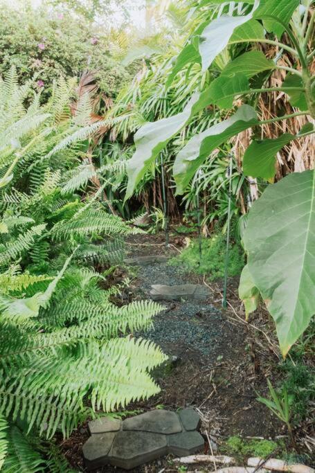 4 Bed/2 Bath Home In Kona'S Garden Of Eden Kailua-Kona Exterior photo