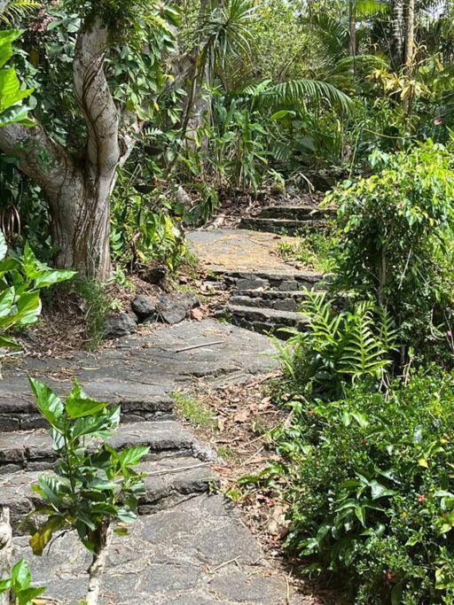 4 Bed/2 Bath Home In Kona'S Garden Of Eden Kailua-Kona Exterior photo